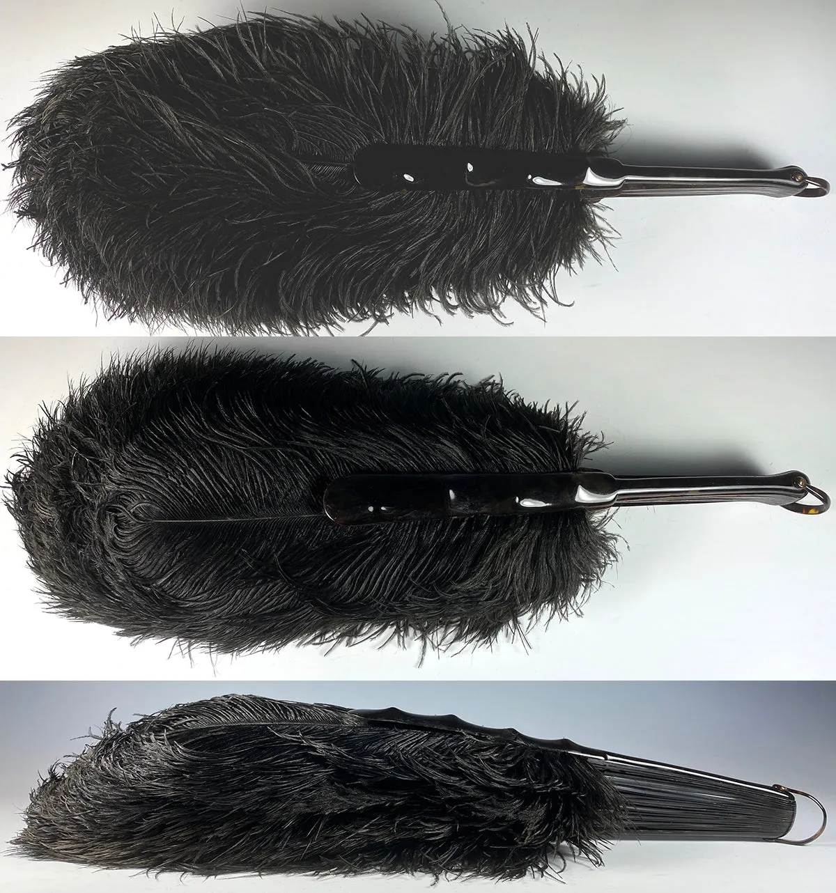 Antique French Hand Fan, 81 cm Span, Black Ostrich Feather and Tortoise Shell Monture, Edwardian