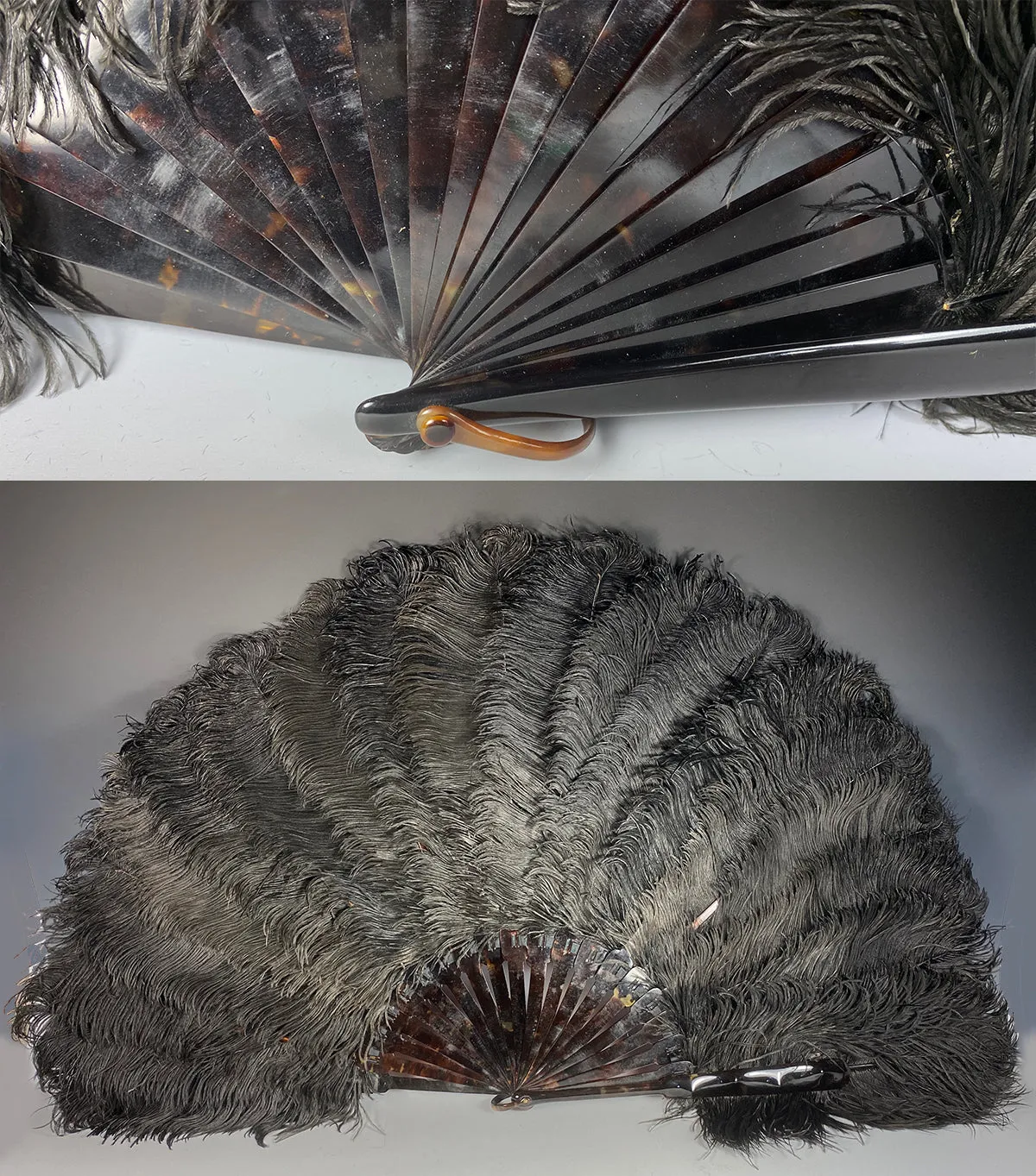 Antique French Hand Fan, 81 cm Span, Black Ostrich Feather and Tortoise Shell Monture, Edwardian