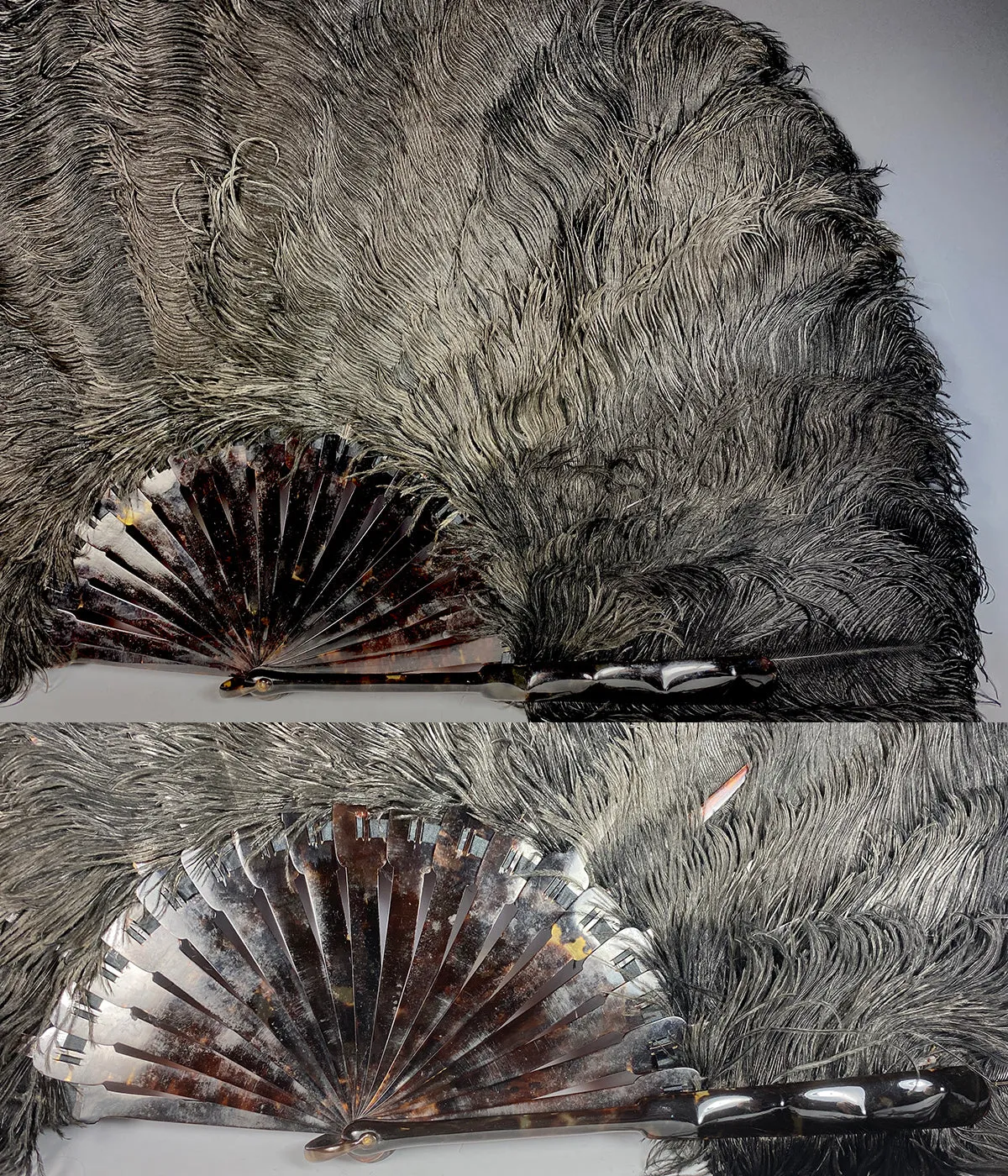 Antique French Hand Fan, 81 cm Span, Black Ostrich Feather and Tortoise Shell Monture, Edwardian