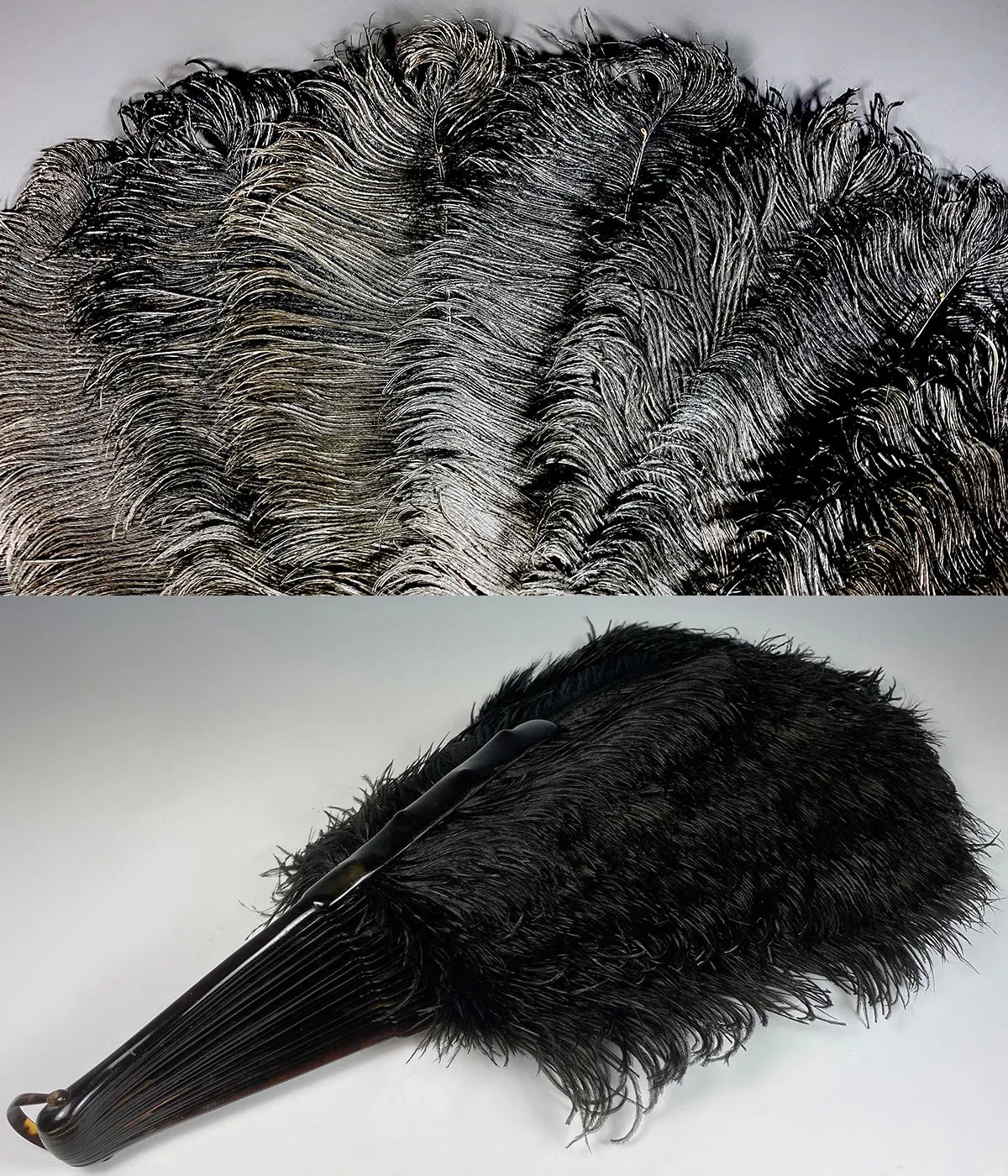 Antique French Hand Fan, 81 cm Span, Black Ostrich Feather and Tortoise Shell Monture, Edwardian