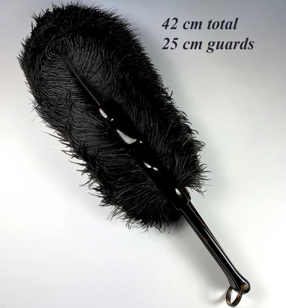 Antique French Hand Fan, 81 cm Span, Black Ostrich Feather and Tortoise Shell Monture, Edwardian