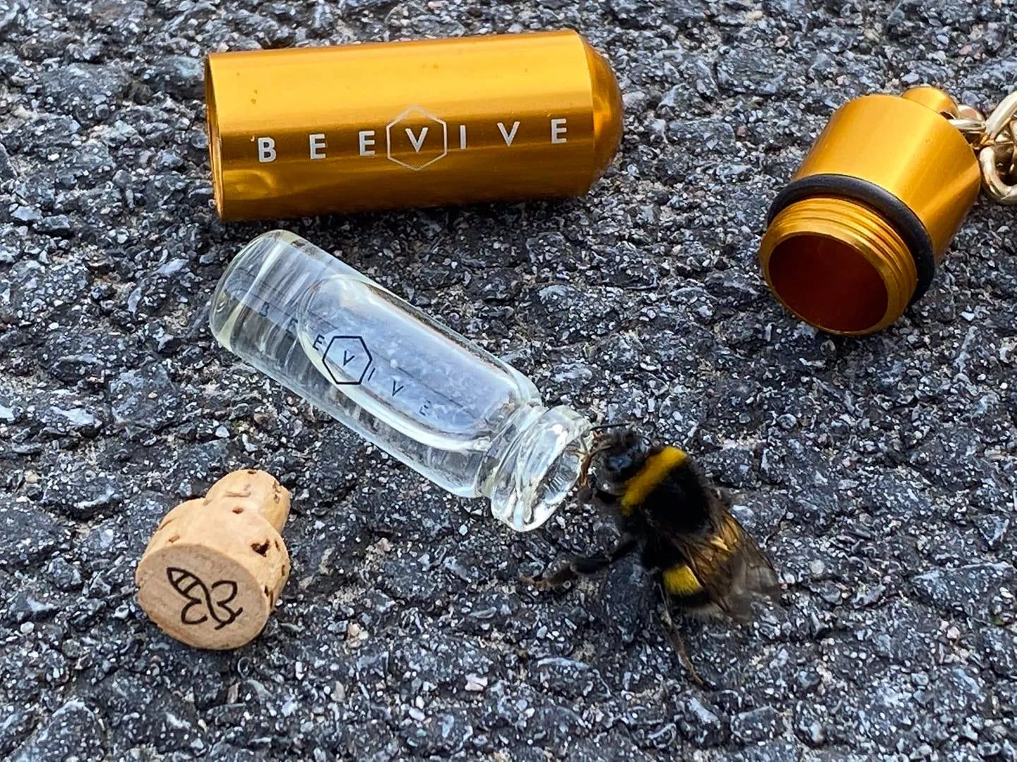 Bee Revival Kit - Butterfly & Bee Reviver, Keychain, Black or Gold