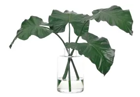 COLOCASIA LEAF