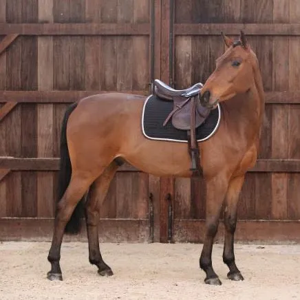 Color Edition Saddle Pad