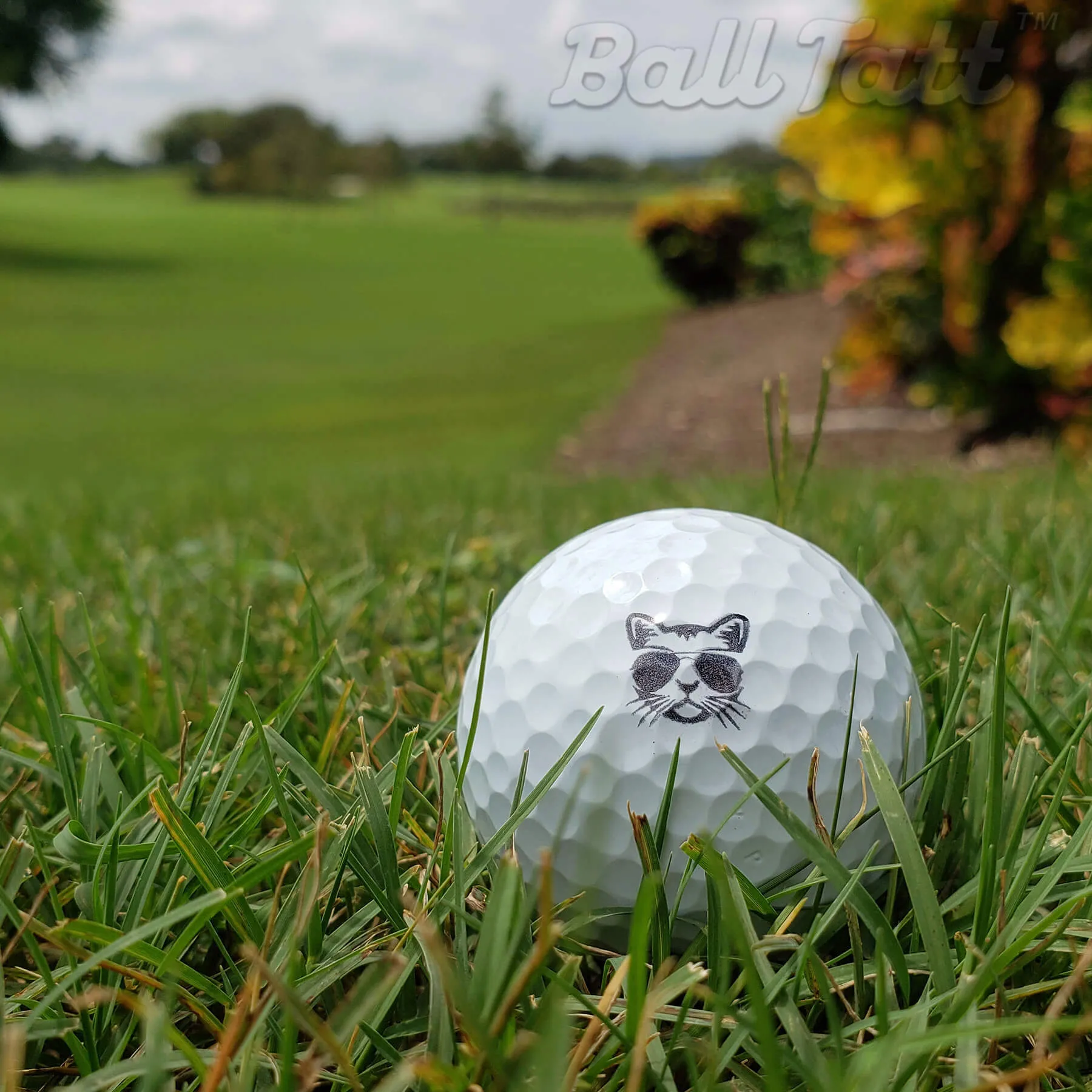 Cool Cat Golf Ball Stamp