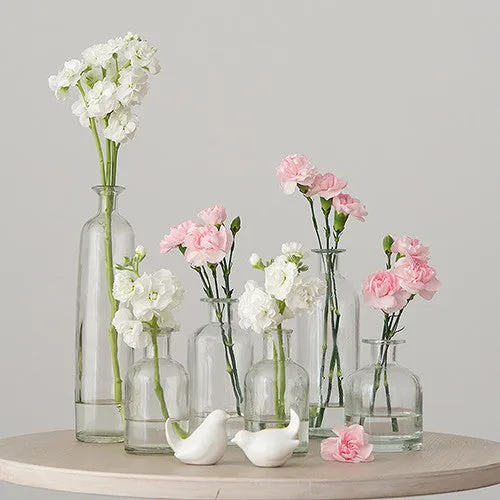 Decorating Glass Bottle Set - Clear