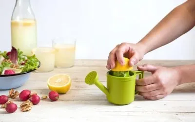 Lemon Juicer - Spray Can