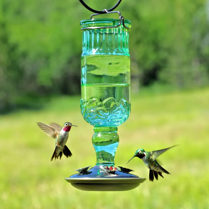 Perky-Pet Hummingbird 24 oz Glass/Metal Nectar Feeder 4 ports