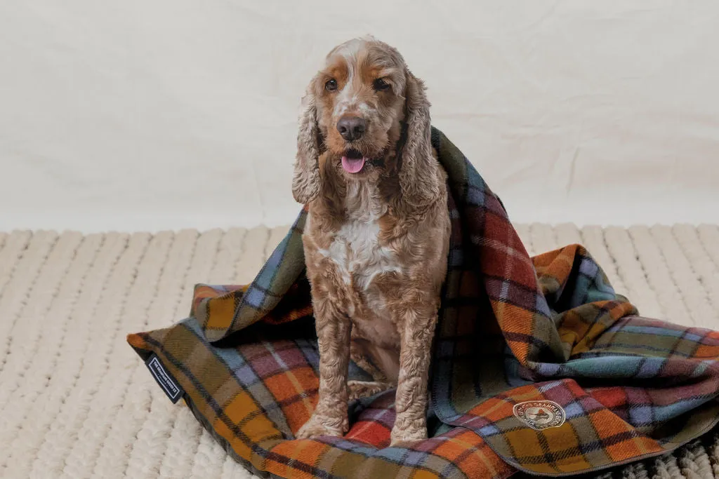 Pet Blanket | Autumn