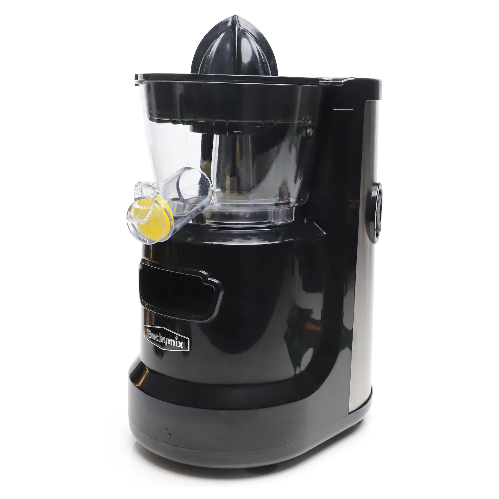 Premium Masticating Cold Pressed Juicer With High Torque Motor