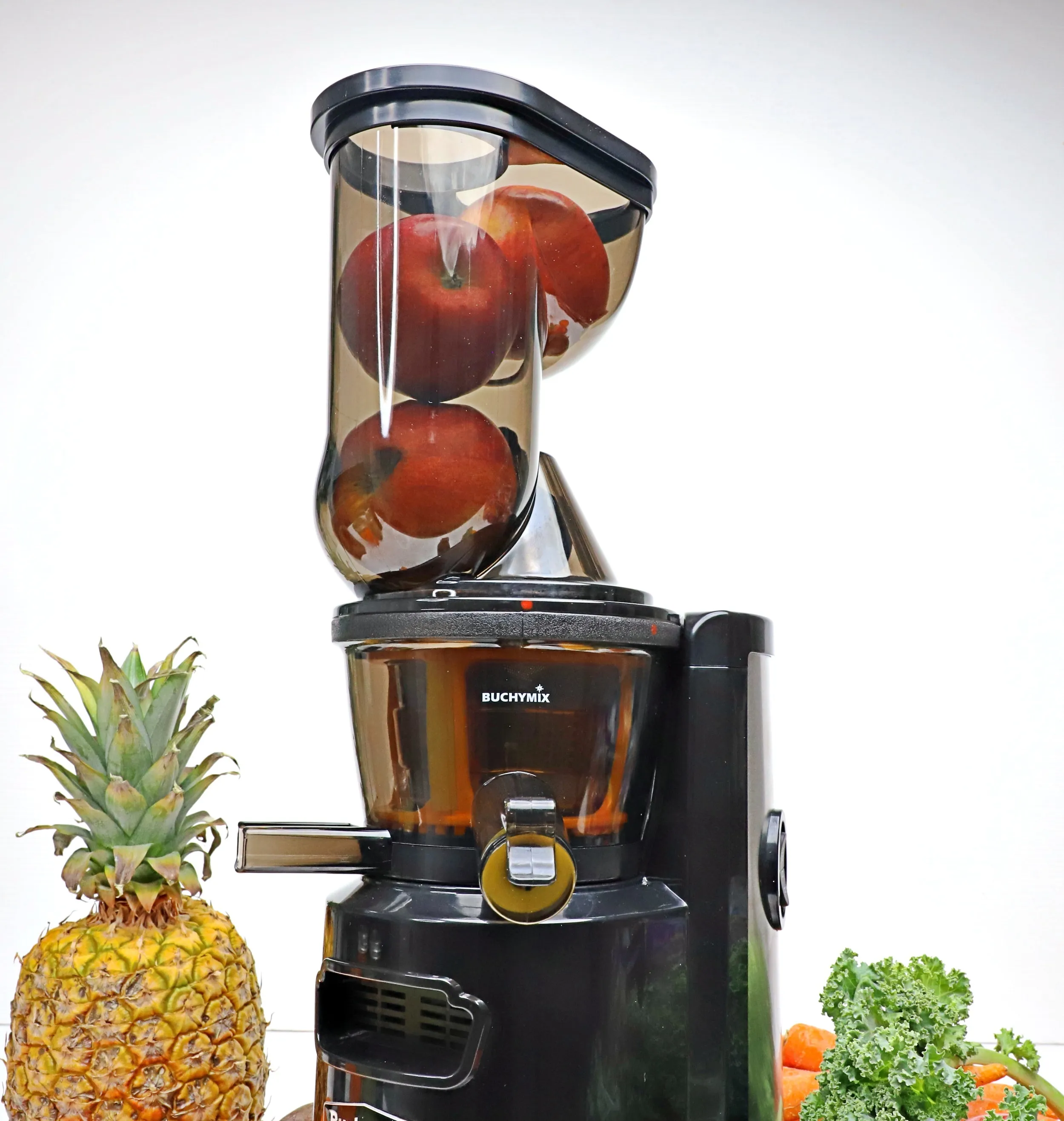 Premium Masticating Cold Pressed Juicer With High Torque Motor