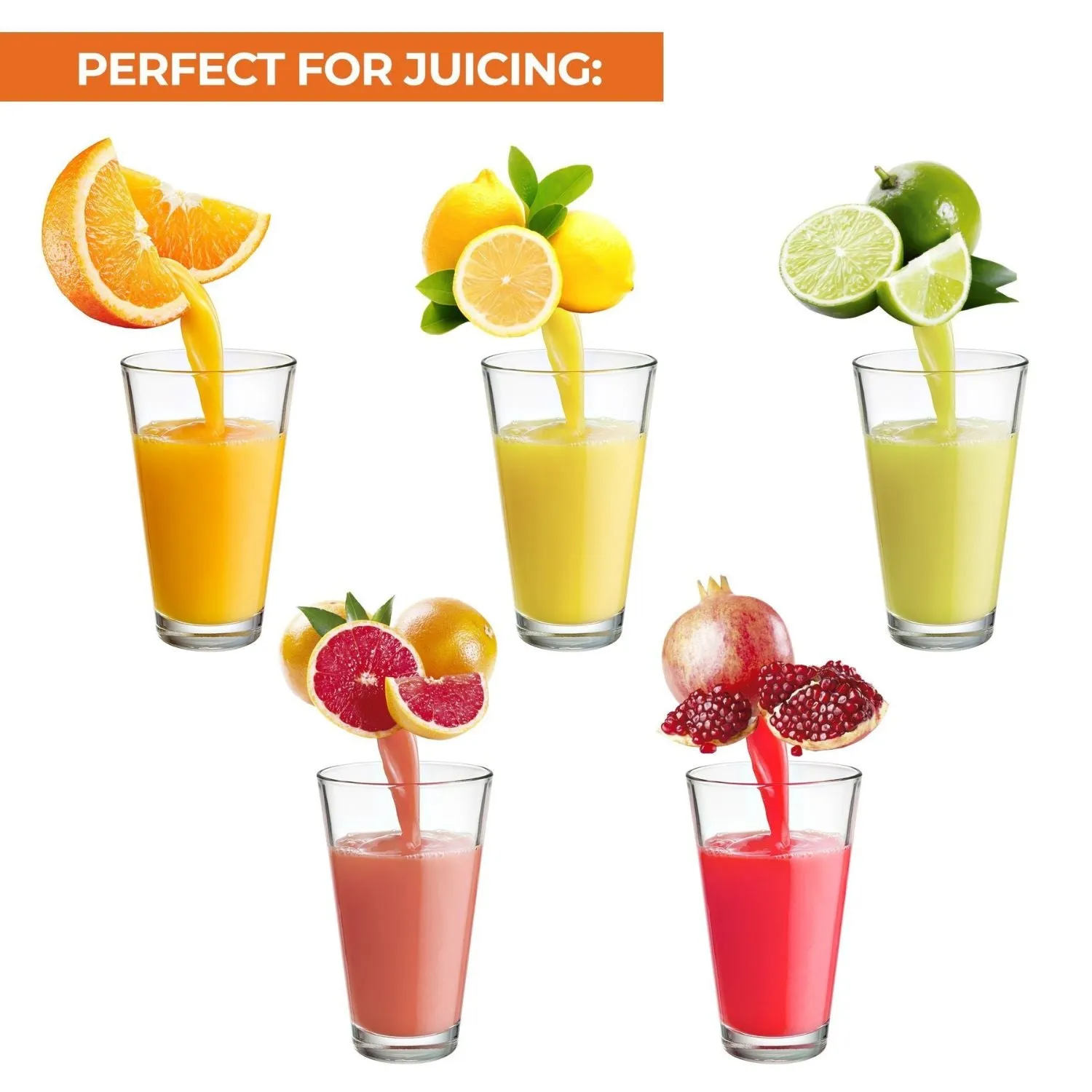 Professional Citrus Juicer   2 in 1 Lemon Squeezer COMPLETE SET