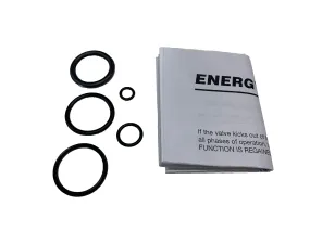 (S390423E0) VALVE O RING KIT - ENERGY (BR004117SK)