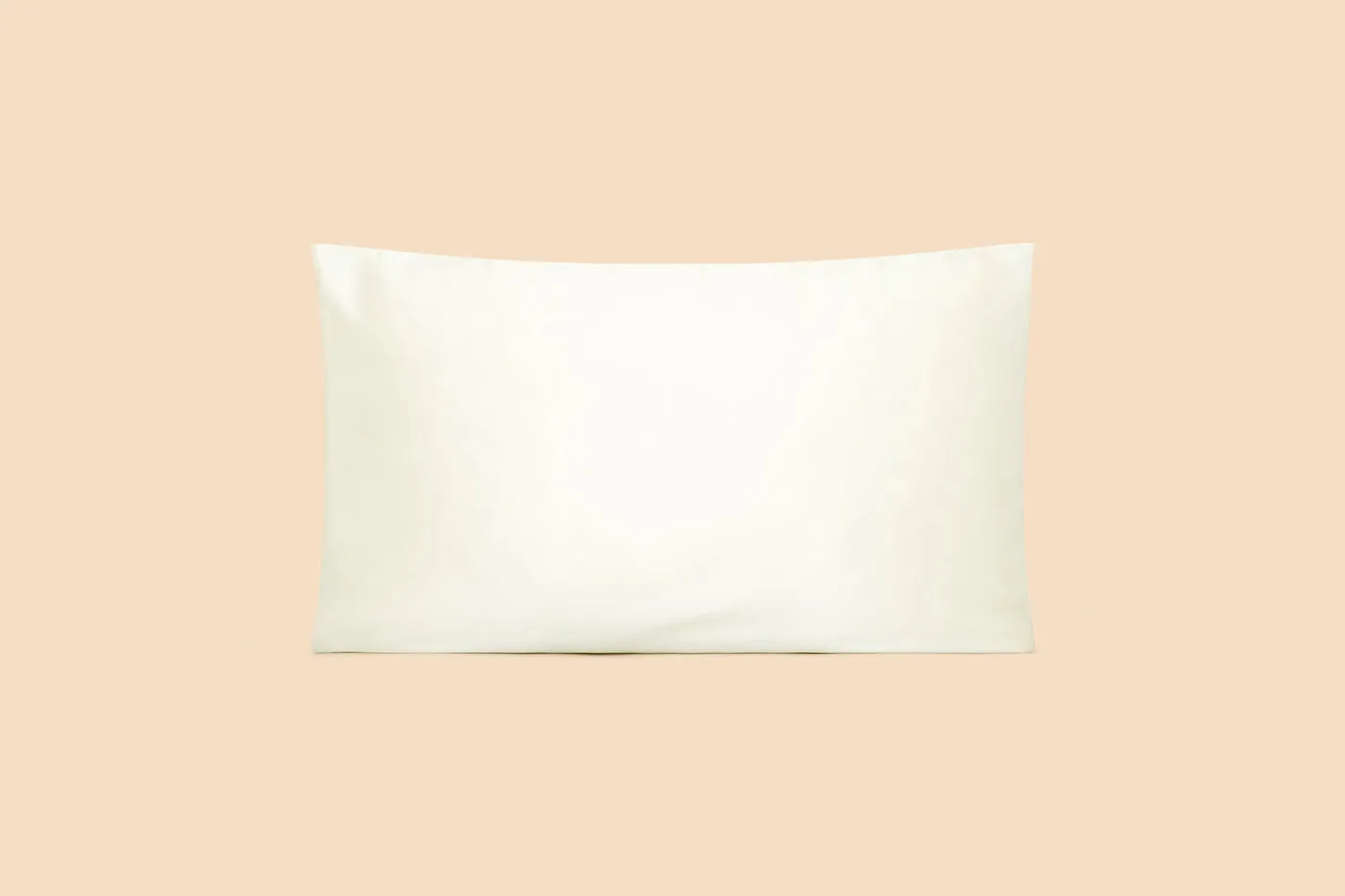 Silk Pillowcase (1 piece)